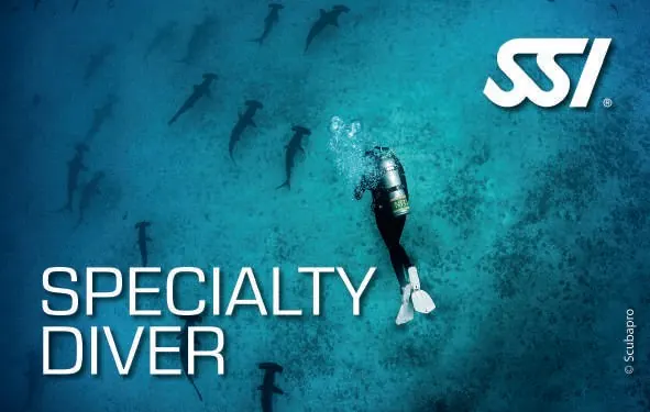 SSI Specialty Diver (Recognition)